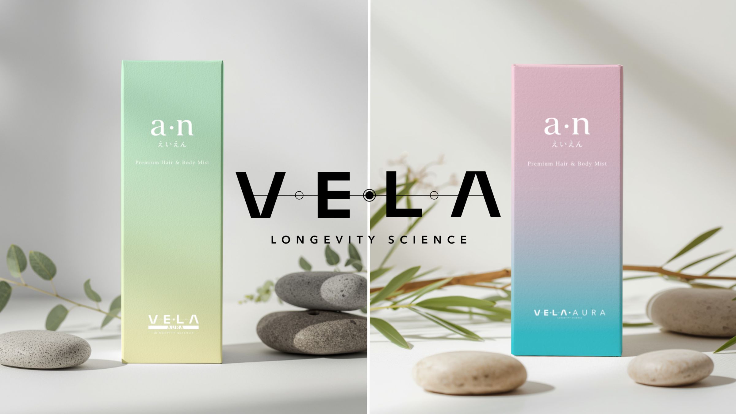 VE•LA Longevity Science packaging in mint and pink gradients, set on stones